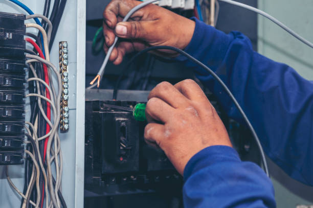Best Electrical Troubleshooting Services  in Old Miakka, FL