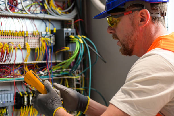 Best Electric Panel Repair  in Old Miakka, FL