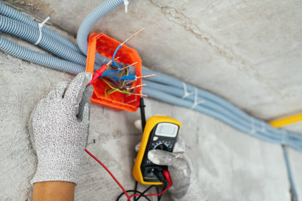 Best Electrical Upgrades for Homes  in Old Miakka, FL
